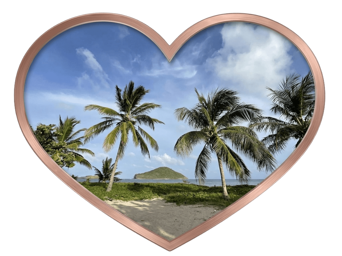 A scenic view of palm trees on a sandy beach in St. Lucia, framed by a metallic rose-gold heart, with a small lush island visible in the distance across the blue water.